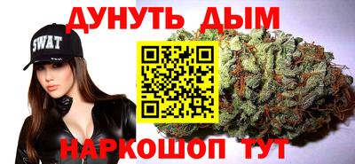 гидра Братск