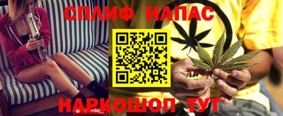 гидра Братск
