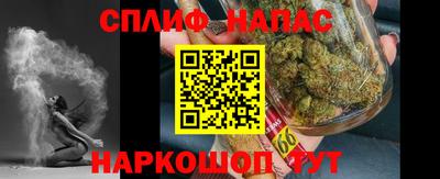 гидра Братск