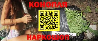 гидра Братск