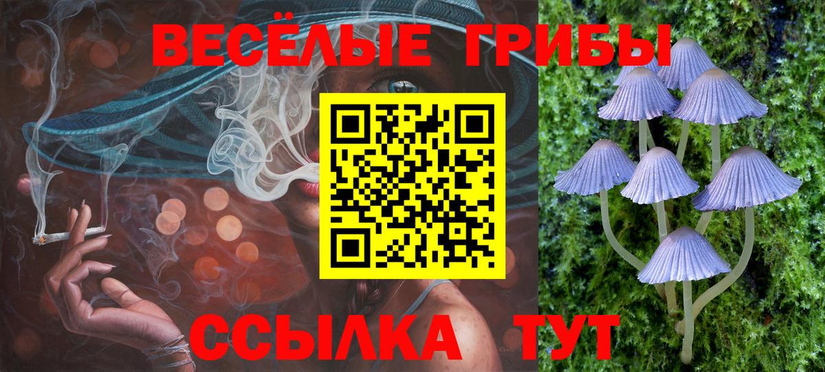 Галлюциногенные грибы Magic Shrooms  Вход с VPN  Балашиха 
